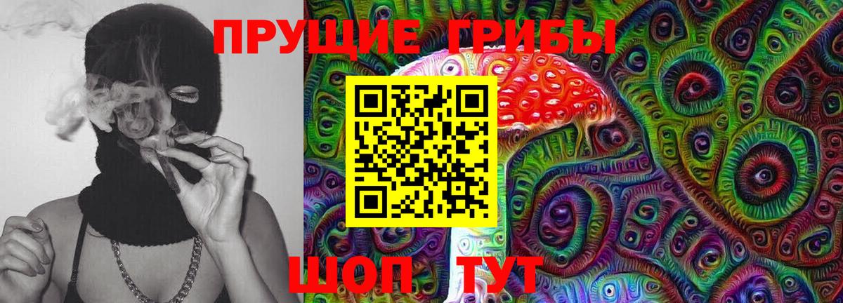 Обь  Галлюциногенные грибы GOLDEN TEACHER  Вход с VPN  Галлюциногенные грибы Psilocybine cubensis 